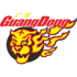 Guangdong Southern Tigers