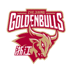 Zhejiang Chouzhou Golden Bulls