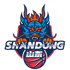 Shandong Hi-Speed
